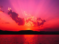 paml's photo