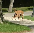 confusedmom's photo